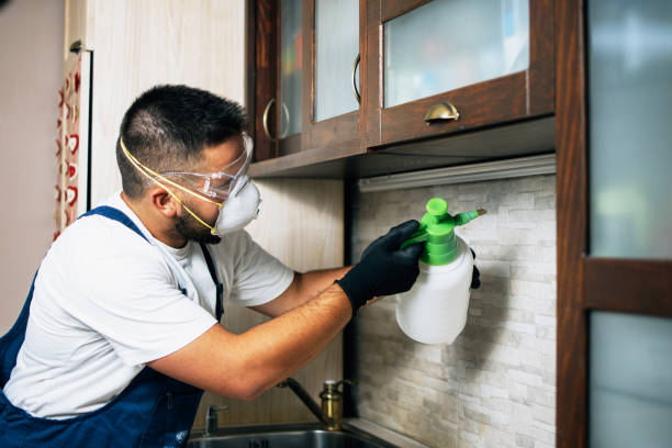 Best Best Pest Control Companies  in Hamlet, IN