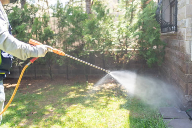 Reliable Hamlet, IN Pest Control Solutions