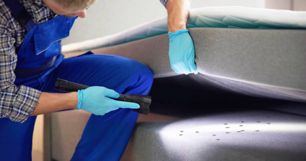 Best Pest Prevention Services  in Hamlet, IN